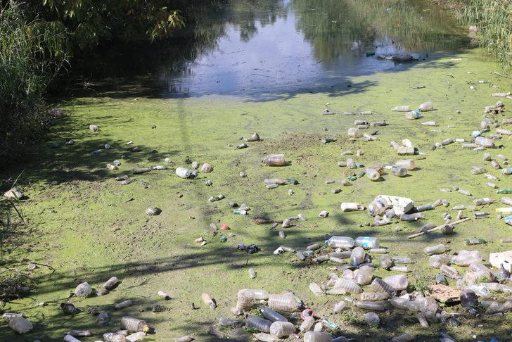 Edirne'de vatandaşlar çöple kaplanan derenin temizlenmesini istiyor G1