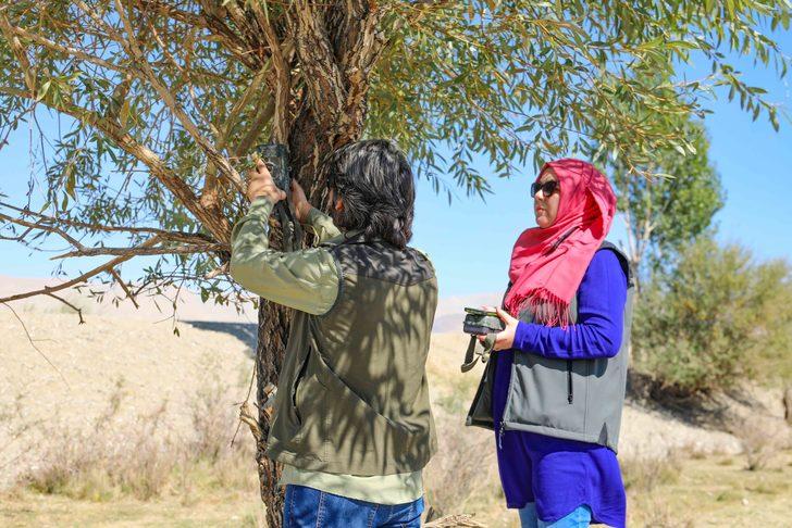 Van'da vurulmuş halde bulunan çizgili sırtlanın görüldüğü bölge fotokapanla izlenecek G1