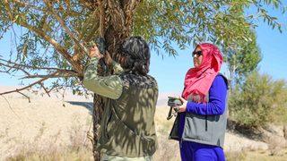 Van'da vurulmuş halde bulunan çizgili sırtlanın görüldüğü bölge fotokapanla izlenecek