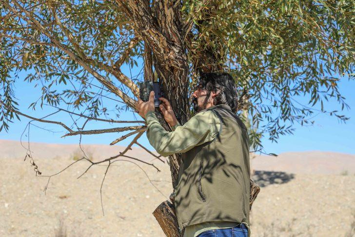 Van'da vurulmuş halde bulunan çizgili sırtlanın görüldüğü bölge fotokapanla izlenecek G2