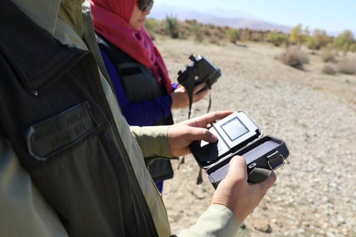 Van'da vurulmuş halde bulunan çizgili sırtlanın görüldüğü bölge fotokapanla izlenecek G4