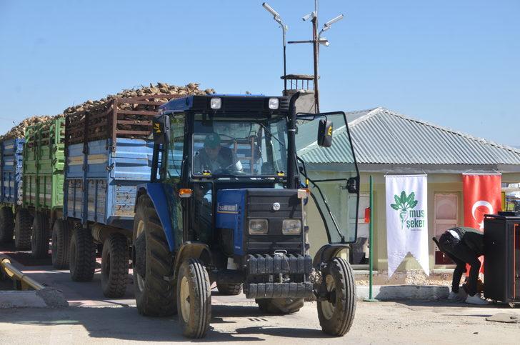 Muş Şeker Fabrikası'nda 41. pancar alım kampanyası başladı G5
