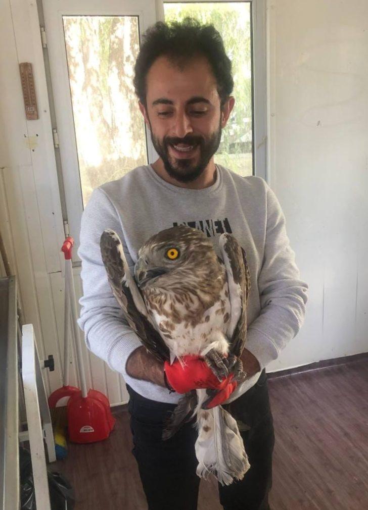 Erzurum'da yaralı bulunan değişken atmaca kartalı tedavi altına alındı G3