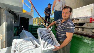 Amasra'da balıkçılar, limana palamut dolu kasalarla döndü