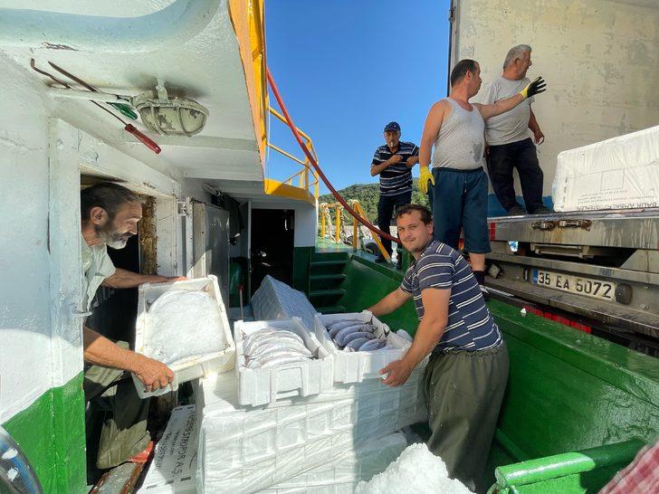Amasra'da balıkçılar, limana palamut dolu kasalarla döndü G3