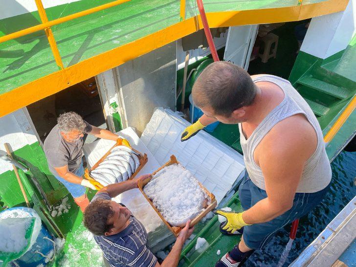 Amasra'da balıkçılar, limana palamut dolu kasalarla döndü G4