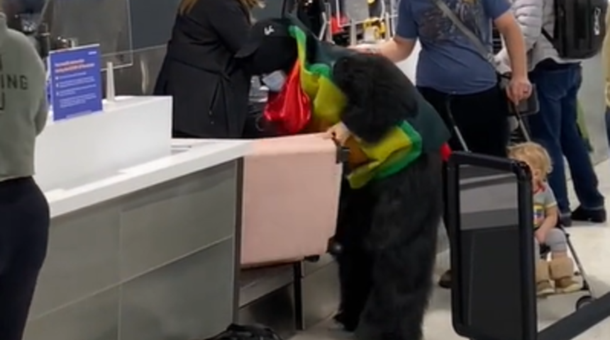 Sosyal medyada gündem oldu! Ek bagaj ücreti vermek istemeyen yolcu bütün valizini üzerine giydi