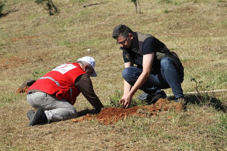 Düzce'de huzurevi sakinleri fidan dikti G2