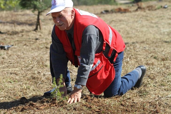 Düzce'de huzurevi sakinleri fidan dikti G4