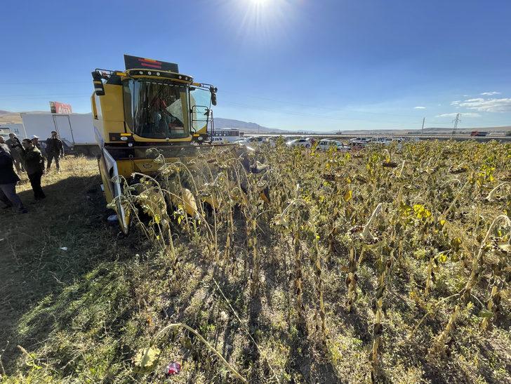 Erzurum'un 2300 rakımlı Daphan Ovası'nda ayçiçeği hasadına başlandı G2