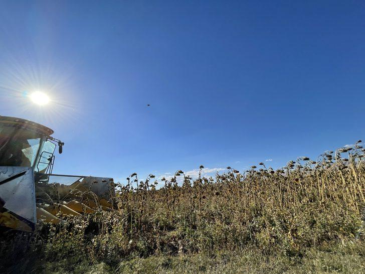 Erzurum'un 2300 rakımlı Daphan Ovası'nda ayçiçeği hasadına başlandı G4