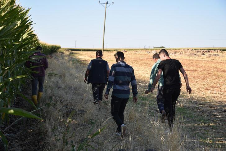 Şanlıurfa'da kaybolan üniversite öğrencisi için arama çalışması başlatıldı G3