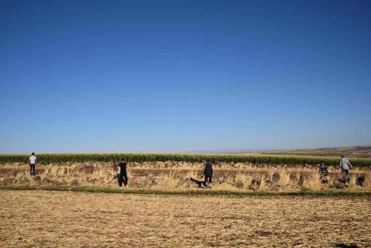 Şanlıurfa'da kaybolan üniversite öğrencisi için arama çalışması başlatıldı G4