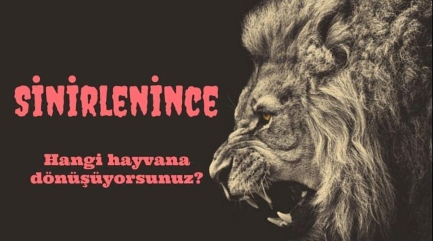 Sinirlenince hangi hayvana d&ouml;n&uuml;ş&uuml;yorsunuz?