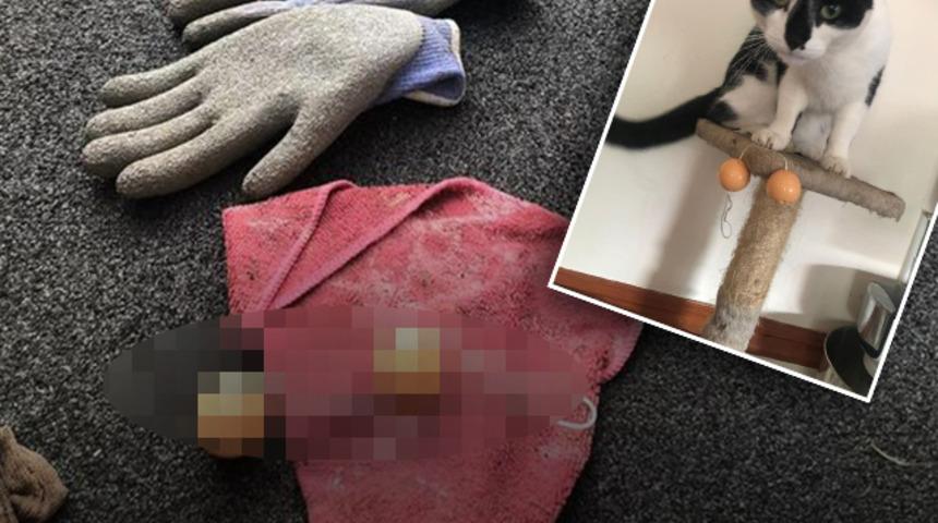 Böylesini görmediniz! Eşyaları çaldığı yetmezmiş gibi bir de sahibine hediye ediyor