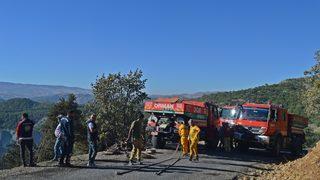GÜNCELLEME - Adıyaman'da çıkan orman yangını kontrol altına alındı