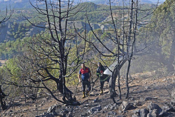GÜNCELLEME - Adıyaman'da çıkan orman yangını kontrol altına alındı G2