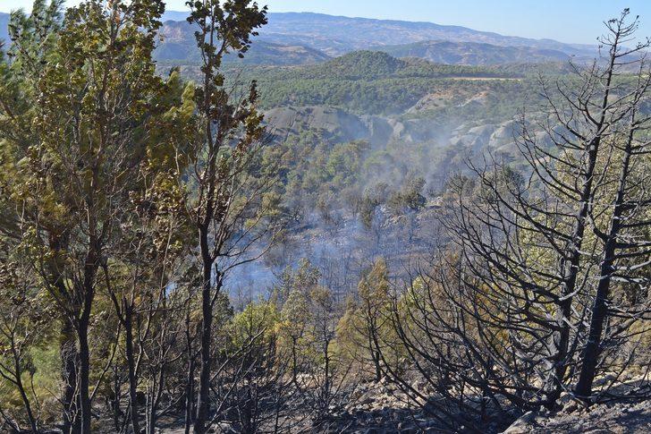 GÜNCELLEME - Adıyaman'da çıkan orman yangını kontrol altına alındı G4