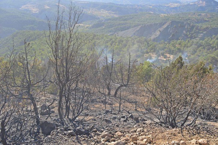 GÜNCELLEME - Adıyaman'da çıkan orman yangını kontrol altına alındı G5