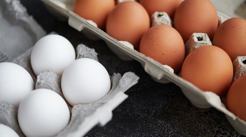 Tanesi 5 lira oldu! Yumurta fiyatları yeniden gündemde: Marketler 30’lu yumurtanın yerine…