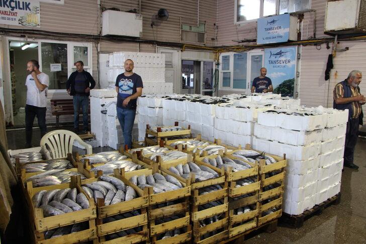 Bandırma Su Ürünleri Hali'nde sezonun ilk ayı palamut bolluğuyla geçti G1