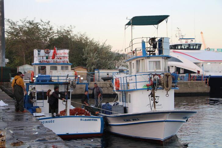 Bandırma Su Ürünleri Hali'nde sezonun ilk ayı palamut bolluğuyla geçti G2