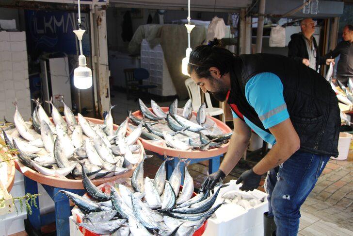 Bandırma Su Ürünleri Hali'nde sezonun ilk ayı palamut bolluğuyla geçti G4