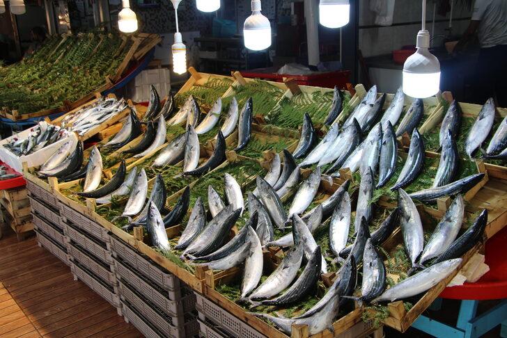 Bandırma Su Ürünleri Hali'nde sezonun ilk ayı palamut bolluğuyla geçti G5