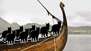 Kediler dünyayı nasıl fethetti?