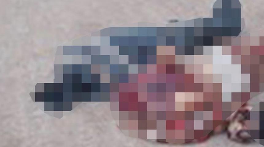 Yolda yürüdüğü sırada kafası kesilmiş iki cesede rastladı! Görüntüler kan dondurdu