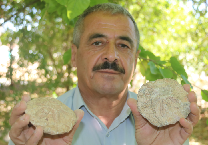 Evinin dört bir yanı bunlarla dolu! Tam 350 milyon yıllık: Gelin bir sonuca bağlayın G1