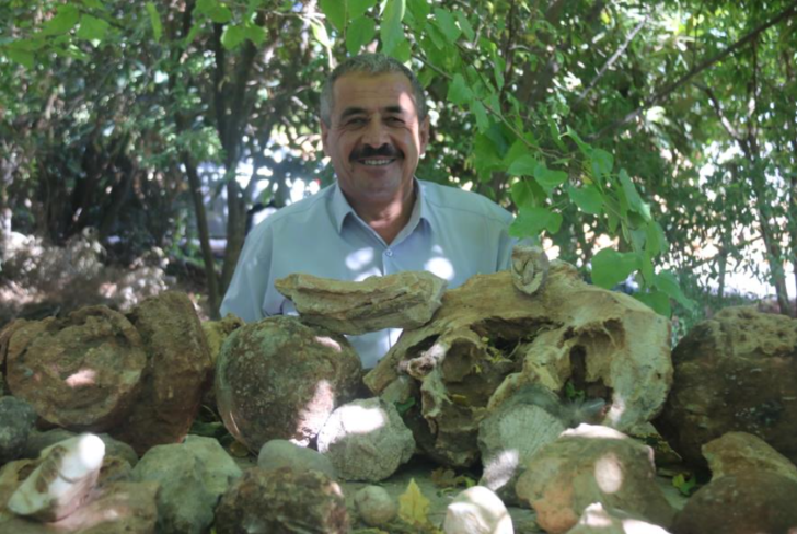 Evinin dört bir yanı bunlarla dolu! Tam 350 milyon yıllık: Gelin bir sonuca bağlayın G3