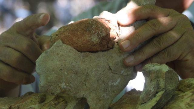 Evinin dört bir yanı bunlarla dolu! Tam 350 milyon yıllık: Gelin bir sonuca bağlayın