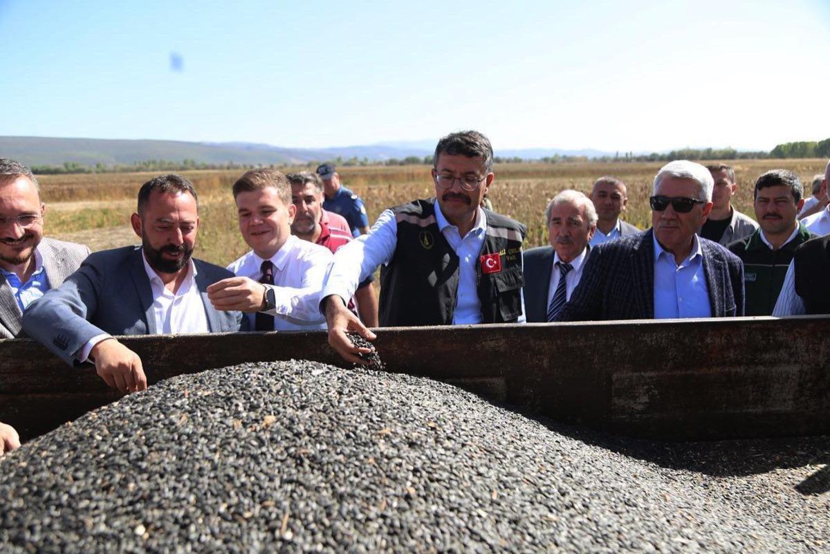 K&uuml;tahya'da destekleme kapsamında ekilen yağlık ay&ccedil;i&ccedil;eğinin hasadı başladı