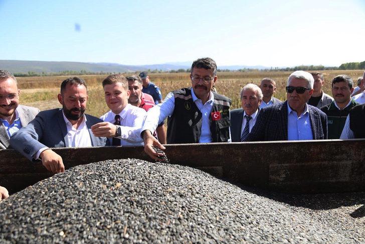 Kütahya'da destekleme kapsamında ekilen yağlık ayçiçeğinin hasadı başladı G1