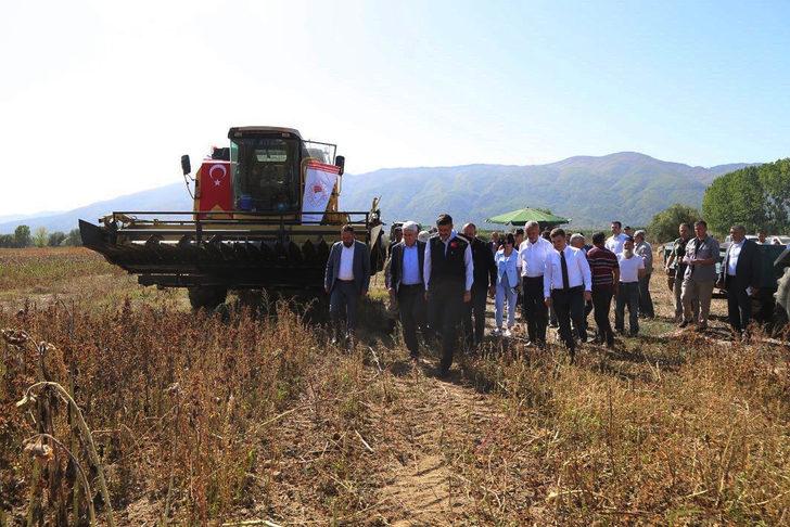 Kütahya'da destekleme kapsamında ekilen yağlık ayçiçeğinin hasadı başladı G3