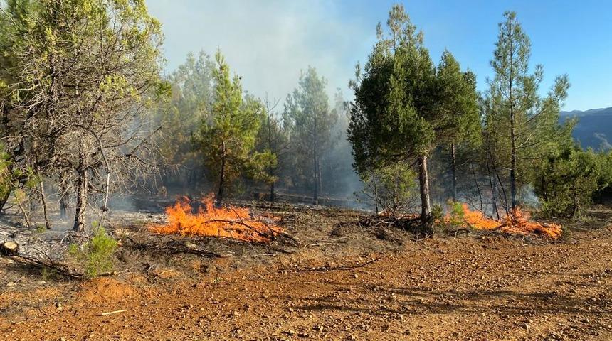 Adana'da ormanlık alanda çıkan yangın kontrol altına alındı