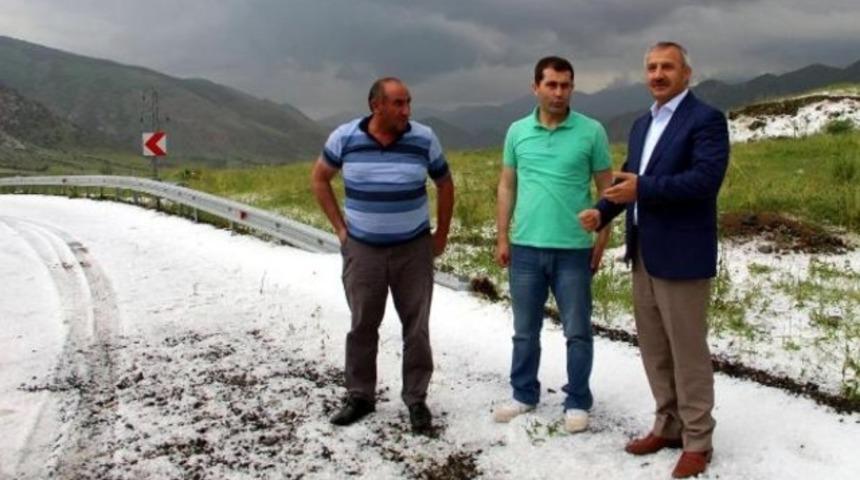 Erzurum'da, ceviz büyüklüğünde dolu yağdı