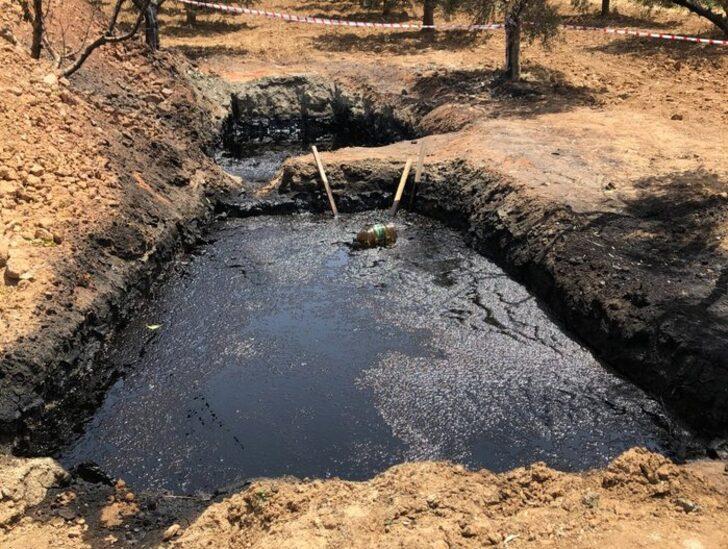 Başına talih kuşu kondu, tarlasından petrol çıktı: 50 milyon dolar teklif edildi G4