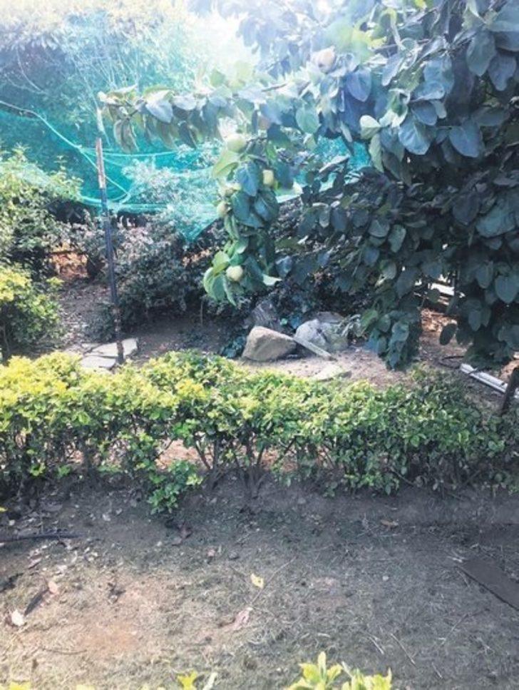 10 tavuğu, 4 kedisi bir de köpeği var! İşte Oktay Kaynarca'nın İstanbul'daki geniş bahçeli evi  G2