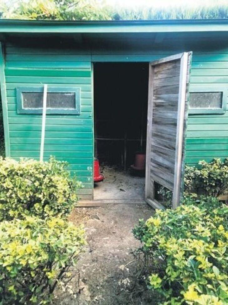 10 tavuğu, 4 kedisi bir de köpeği var! İşte Oktay Kaynarca'nın İstanbul'daki geniş bahçeli evi  G4