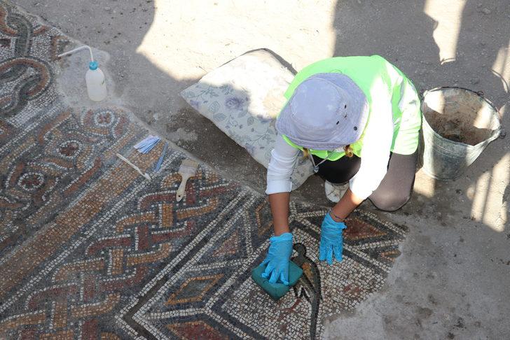 Hadrianopolis'te üzerinde meyve sepeti ve hayvan figürleri bulunan mozaikler ortaya çıkarıldı G2