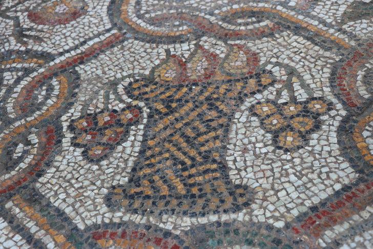 Hadrianopolis'te üzerinde meyve sepeti ve hayvan figürleri bulunan mozaikler ortaya çıkarıldı G5