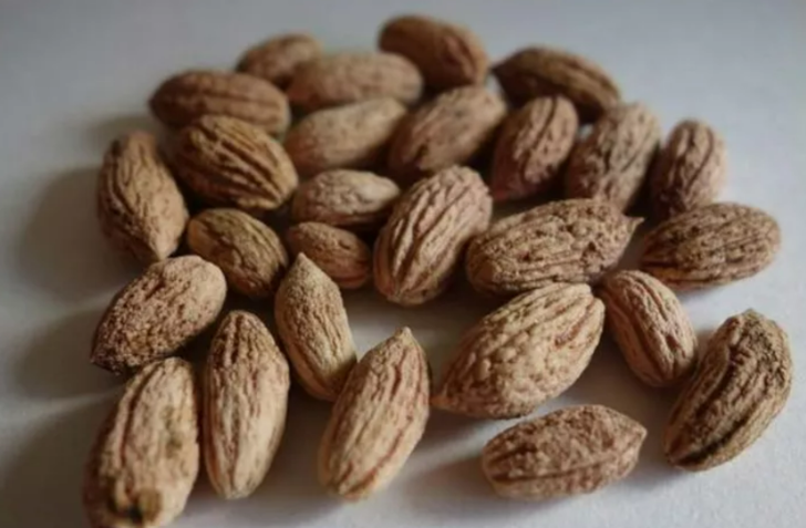 Çöpe atıyorsanız büyük yanlış yapıyorsunuz! Zeytin çekirdeğinin şaşırtan faydaları saymakla bitmiyor G3