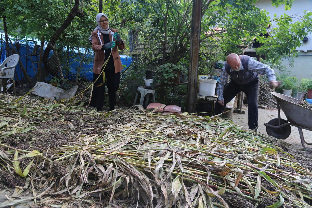 Şeker kamışı posasının yalıtım malzemesi olarak kullanılması i&ccedil;in &ccedil;alışma y&uuml;r&uuml;t&uuml;l&uuml;yor