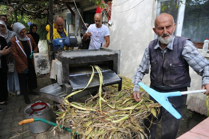 Şeker kamışı posasının yalıtım malzemesi olarak kullanılması için çalışma yürütülüyor G4