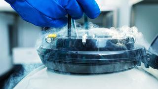 Rus erkekleri hastanelere koşuyor! Seferberlik panik yarattı: Spermlerini dondurma telaşına düştüler