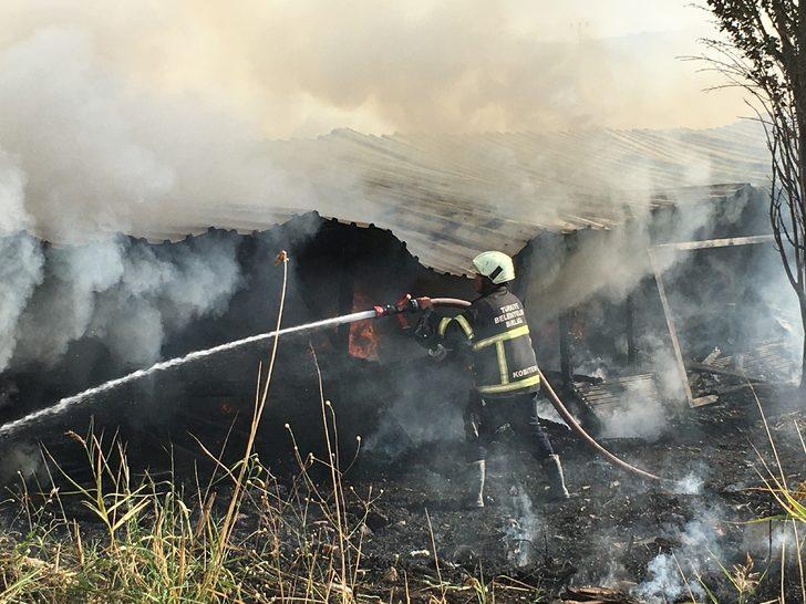 Kütahya'da mobilya mağazası deposunda çıkan yangına müdahale ediliyor G3
