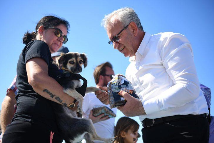 Trakya 2. PetFEST kedi ve köpek güzellik yarışması yapıldı G3