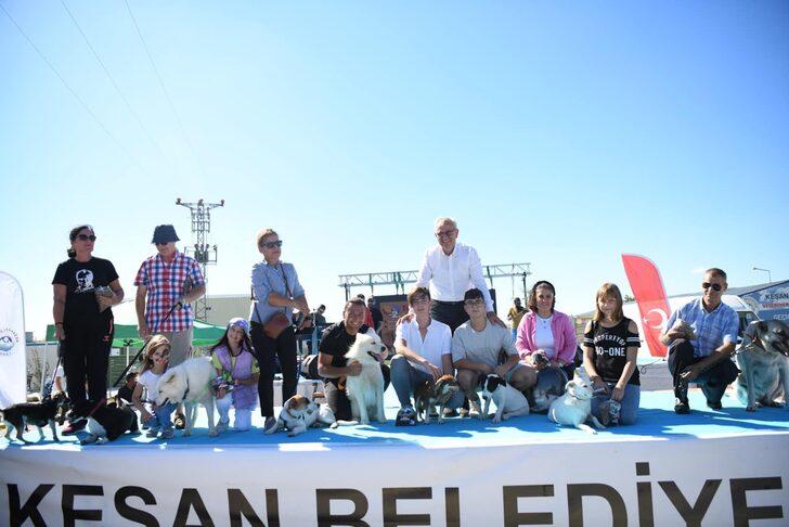 Trakya 2. PetFEST kedi ve köpek güzellik yarışması yapıldı G4